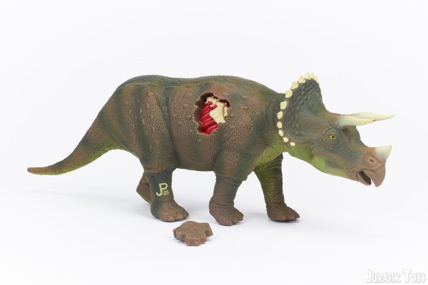 Triceratops