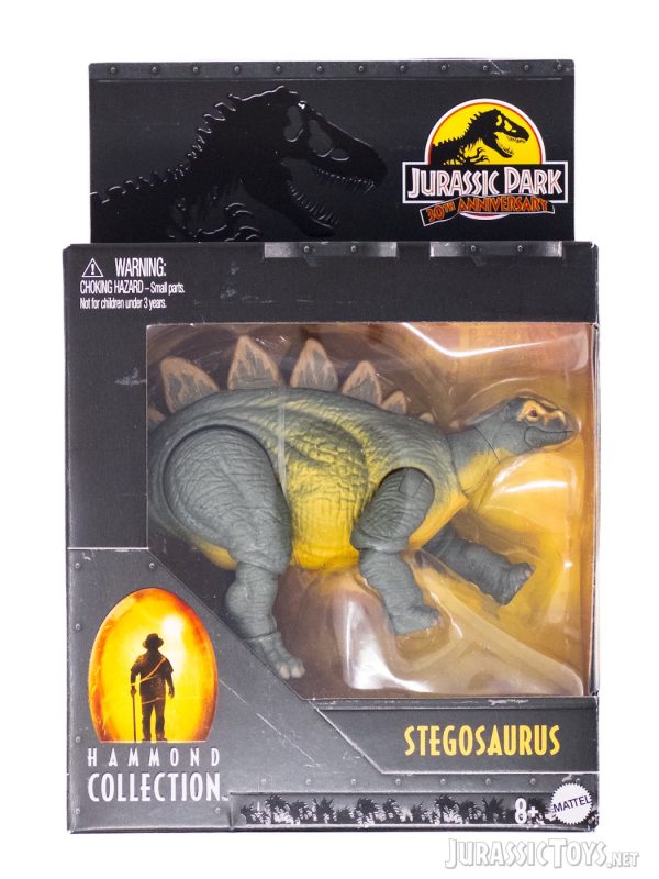 Young Stegosaurus