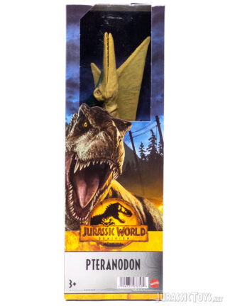 12" Pteranodon