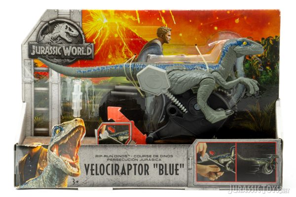 Rip-Run Dinos Velociraptor “Blue”