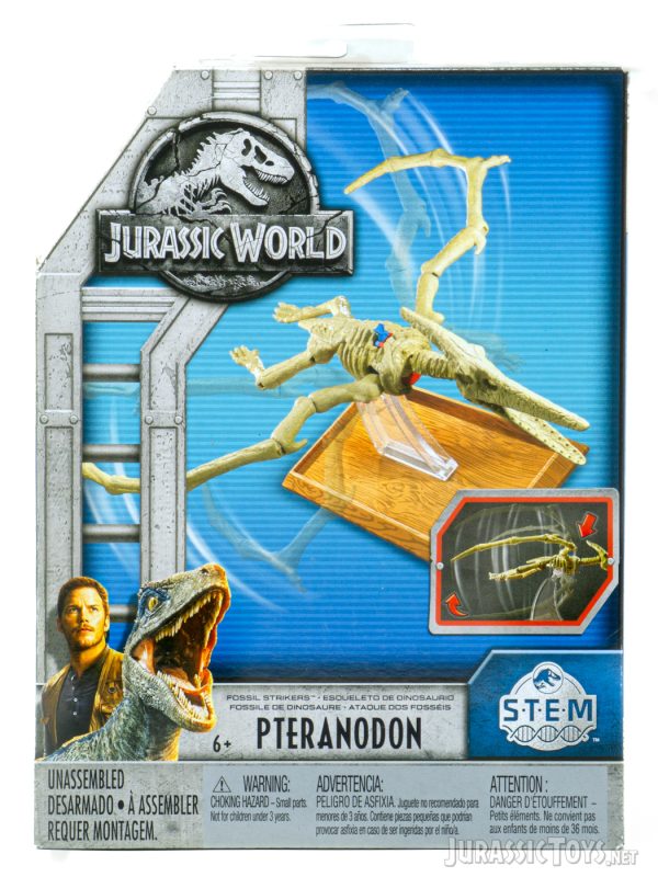 STEM Fossil Striker Pteranodon