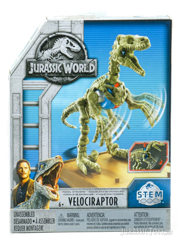 STEM Fossil Striker Velociraptor