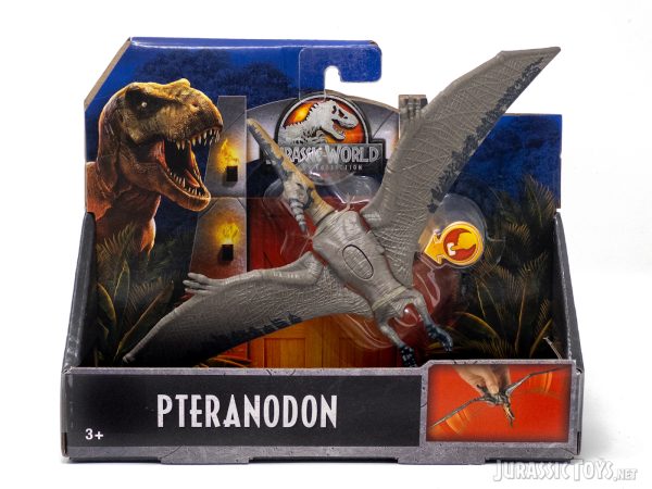 Pteranodon