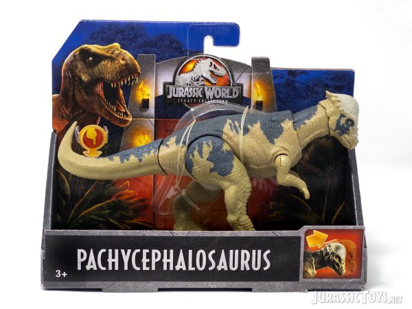 Pachycephalosaurus