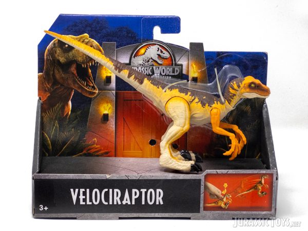 Velociraptor